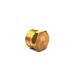 Brass Plug Adapter Hex Male End.